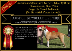 Class 5a ~ 2nd ~ Newbelle Live Wire.png